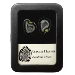 Geode Halves - Quartz - Zacateas, Mexico